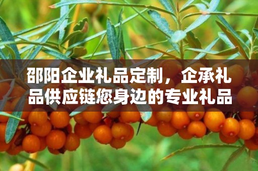 邵阳企业礼品定制，企承礼品供应链您身边的专业礼品定制公司
