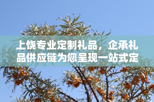 上饶专业定制礼品，企承礼品供应链为您呈现一站式定制服务
