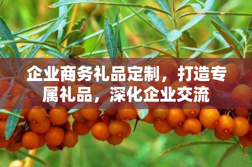 企业商务礼品定制，打造专属礼品，深化企业交流