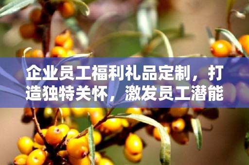 企业员工福利礼品定制，打造独特关怀，激发员工潜能