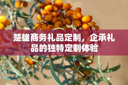 楚雄商务礼品定制，企承礼品的独特定制体验