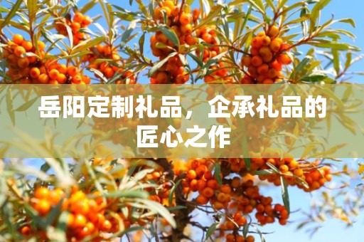 岳阳定制礼品，企承礼品的匠心之作