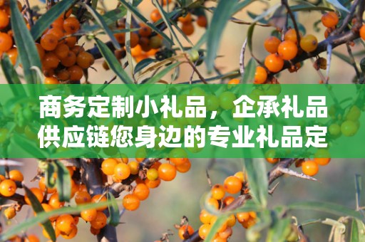 商务定制小礼品，企承礼品供应链您身边的专业礼品定制公司